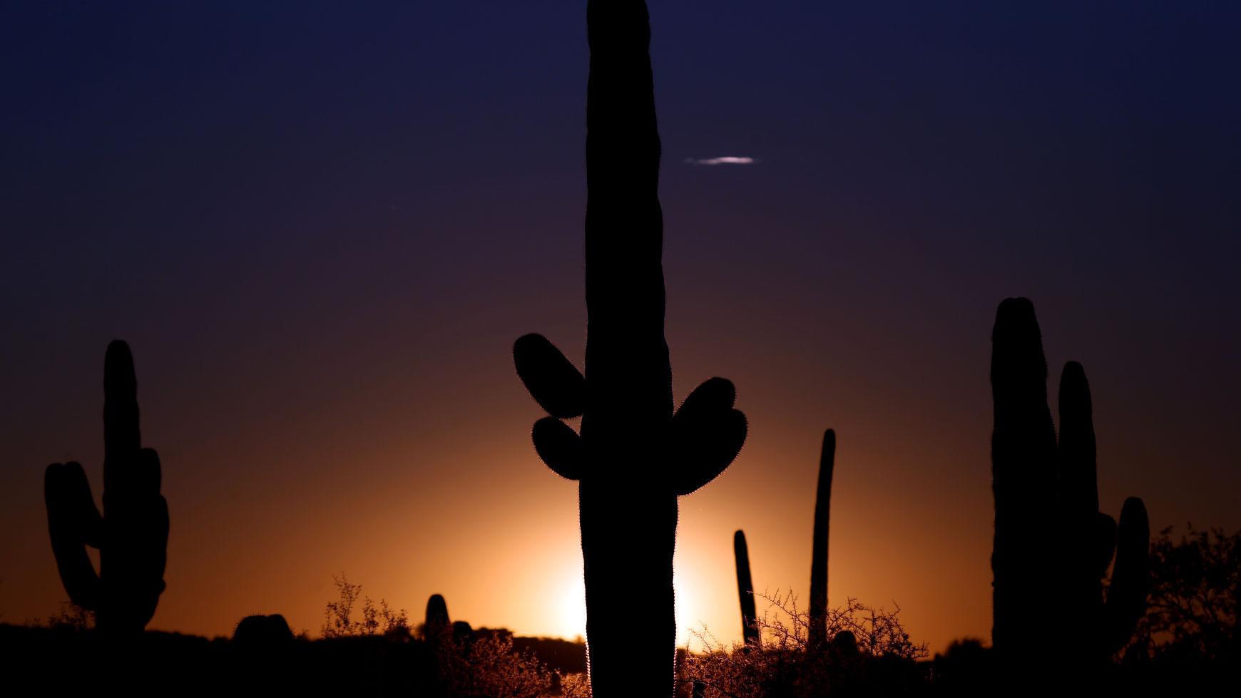 Photos: Saguaro National Park through the years